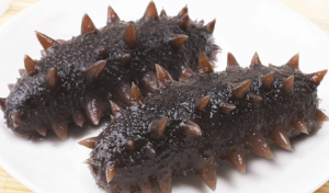 sea cucumber
